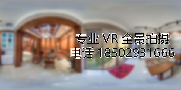 灌阳VR全景技术在未来可能的发展方向和应用领域?